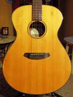 2_breedlove_acoustic.jpg