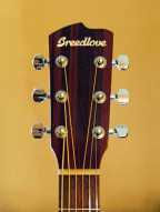 6_breedlove_acoustic.jpg