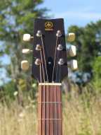 6_yamaha_fg_75.jpg
