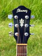 6_ibanez_aeg.jpg