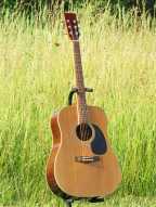 4_marlboro_martin_acoustic.jpg