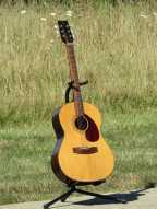 3_yamaha_fg_75.jpg