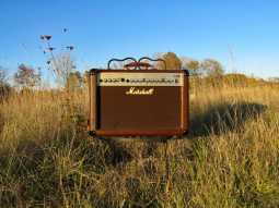 8_marshall_as50r_amp.jpg