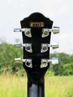 7_ibanez_aeg.jpg