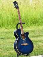 3_ibanez_aeg.jpg
