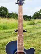 8_ibanez_aeg.jpg